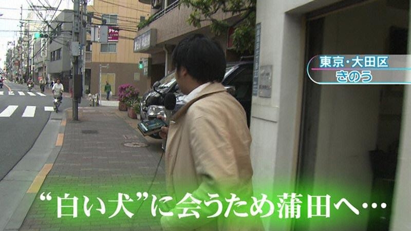 Webとくダネ とくダネです 24時間飼い主を待ち続ける忠犬 道路沿いにいるワンコの正体がスゴすぎた